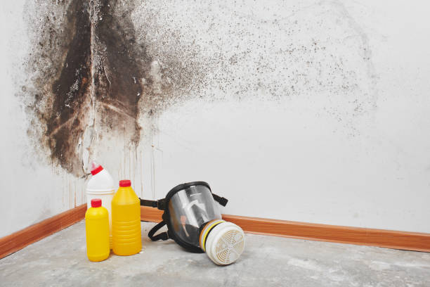 Best Crawl Space Mold Removal  in Cera, AL