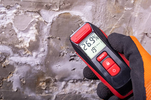 Best Emergency Mold Removal  in Cera, AL