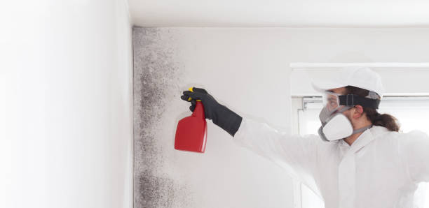 Best Commercial Mold Removal  in Cera, AL