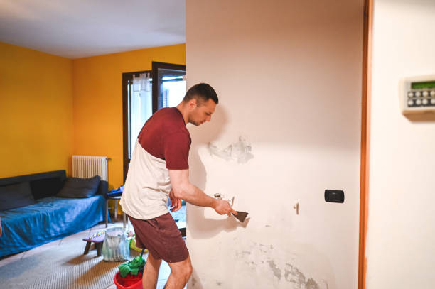 Best Home Mold Removal  in Cera, AL
